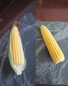 air fryer corn on the cob in husk