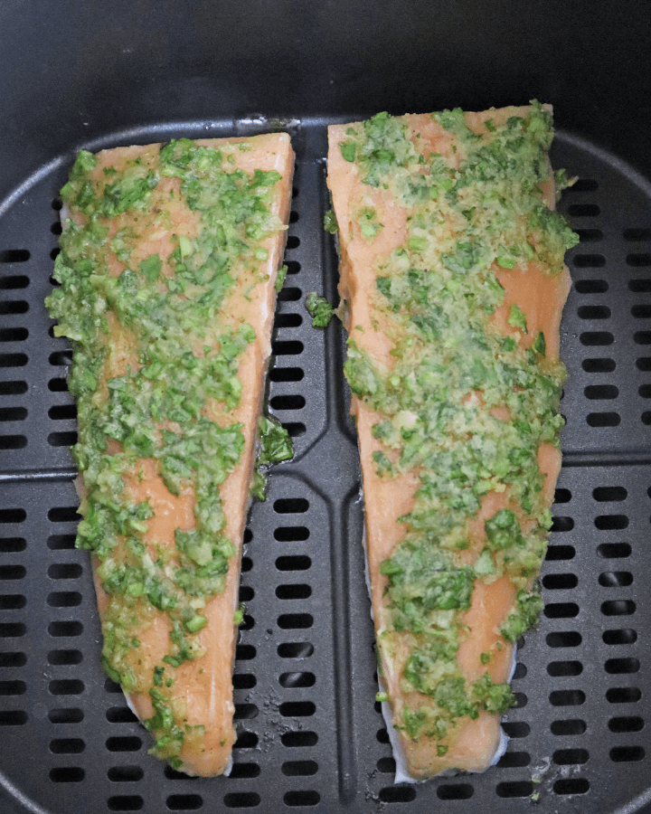 place seasoned fresh salmon in air fryer