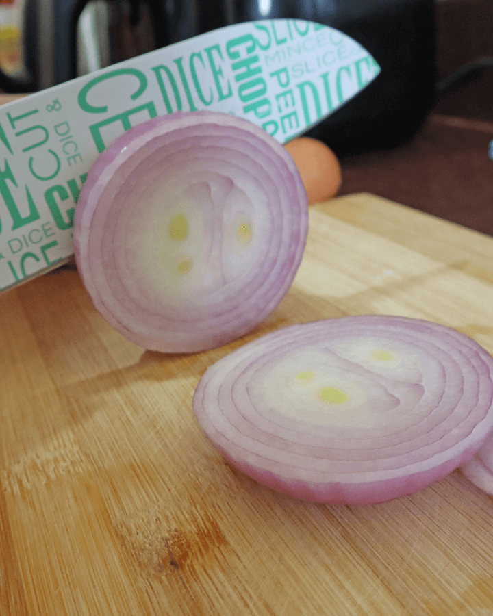 homemade onion rings in air fryer vegan