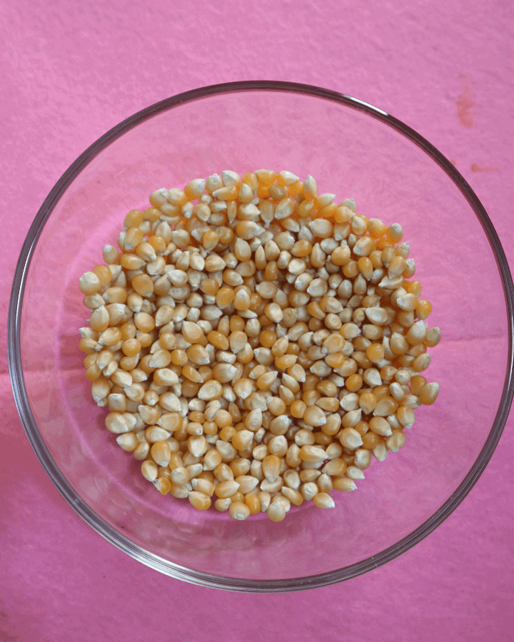 popcorn kernels in a bowl