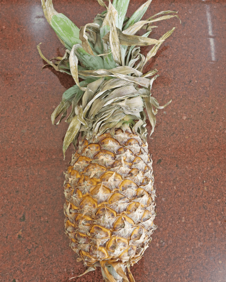 fried pineapple with honey