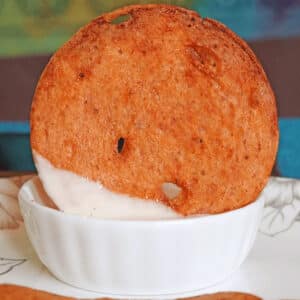 air fryer salami chips featured