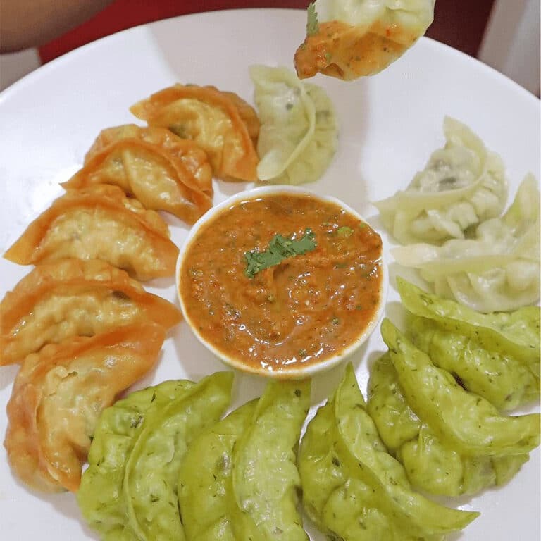 Homemade Dumplings in Air Fryer Air Fryer Recipes