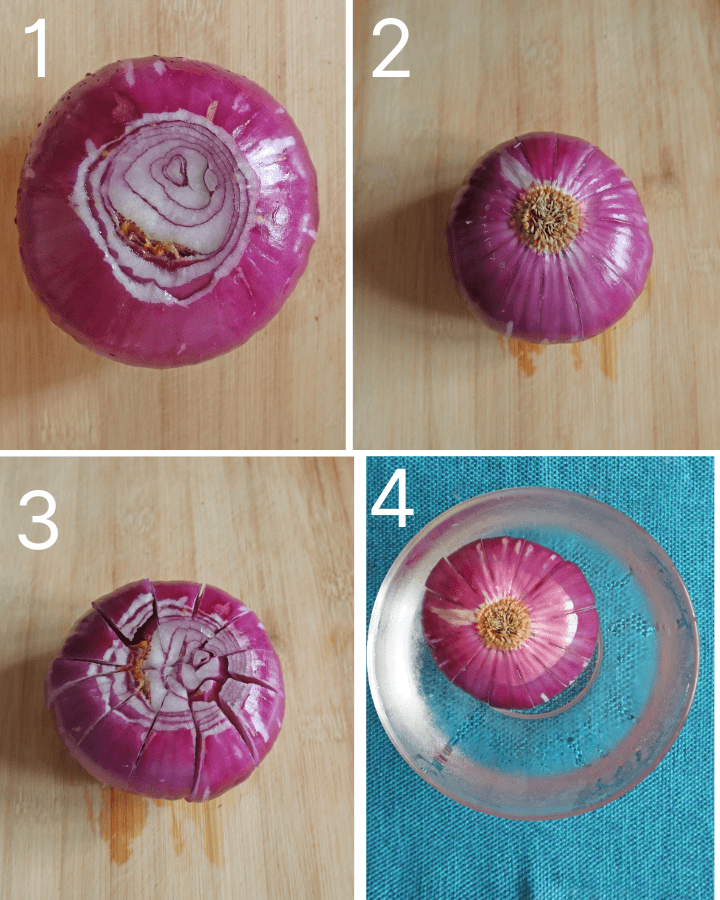 easy air fryer blooming onion recipe